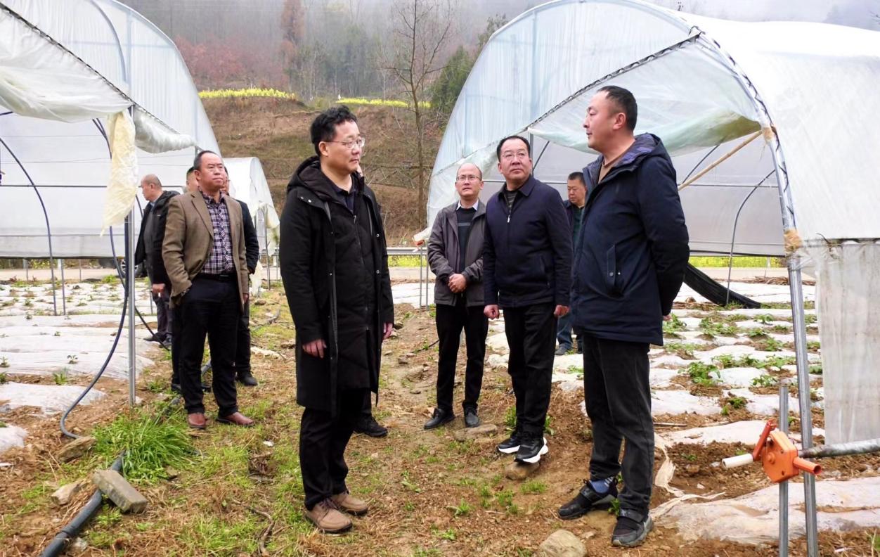 微信图片_20240317154956