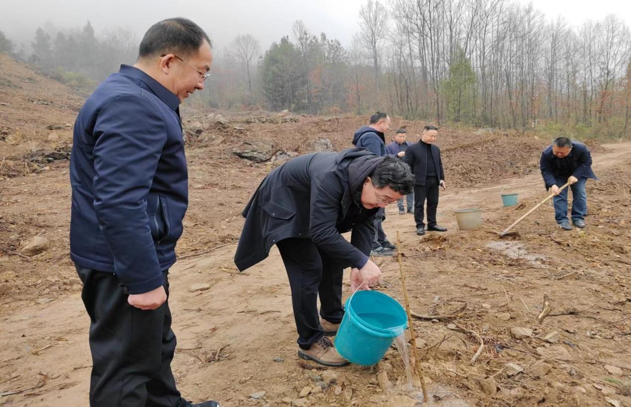 微信图片_20240316153550种树